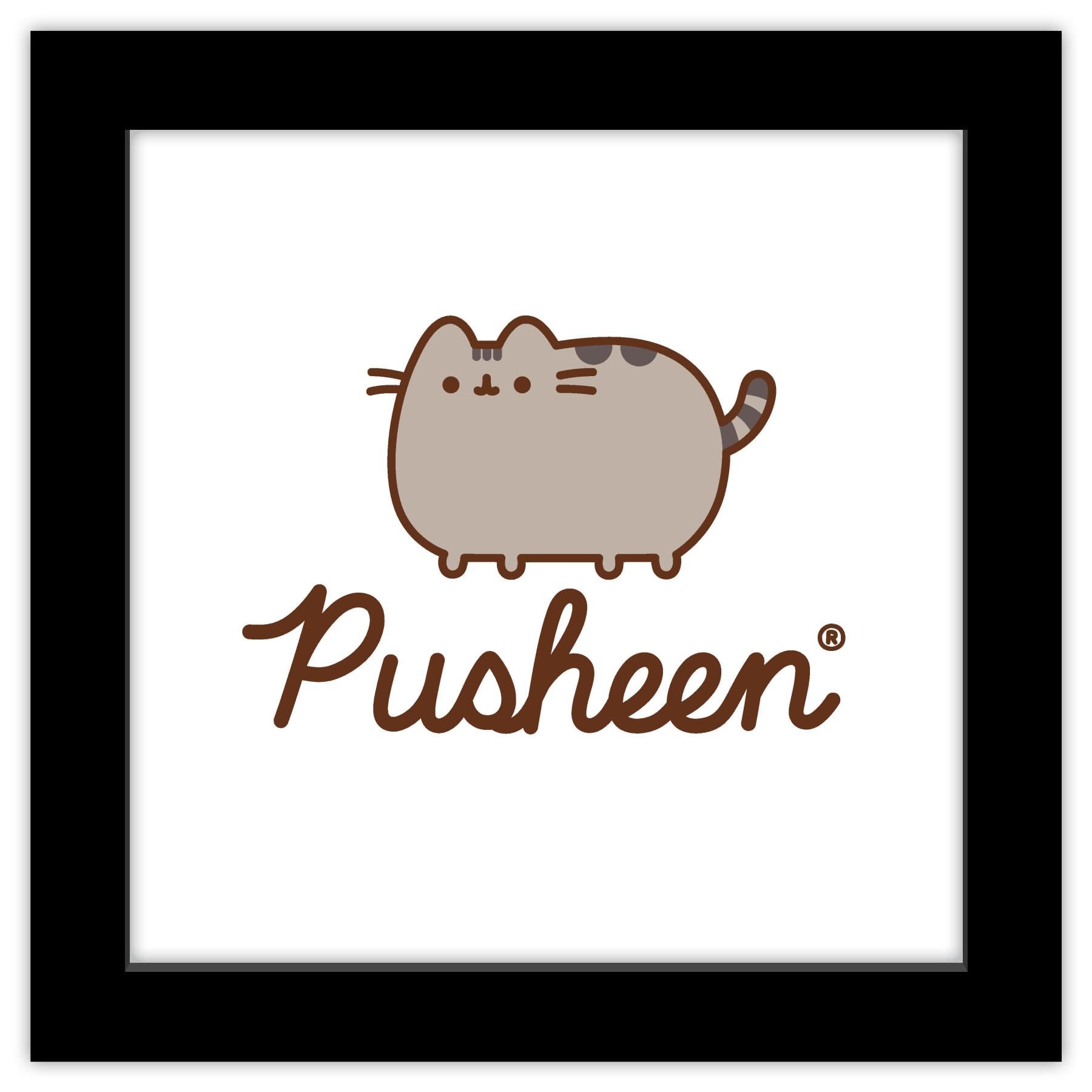 Pop! Pusheen - Pusheen - Dragonsheen - #14